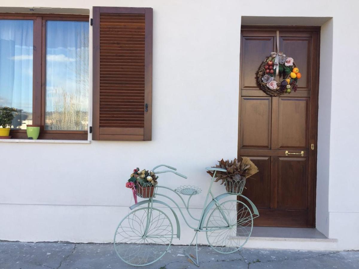 B&B Villa Angela Via Della Bonifica 17 Villareia Экстерьер фото